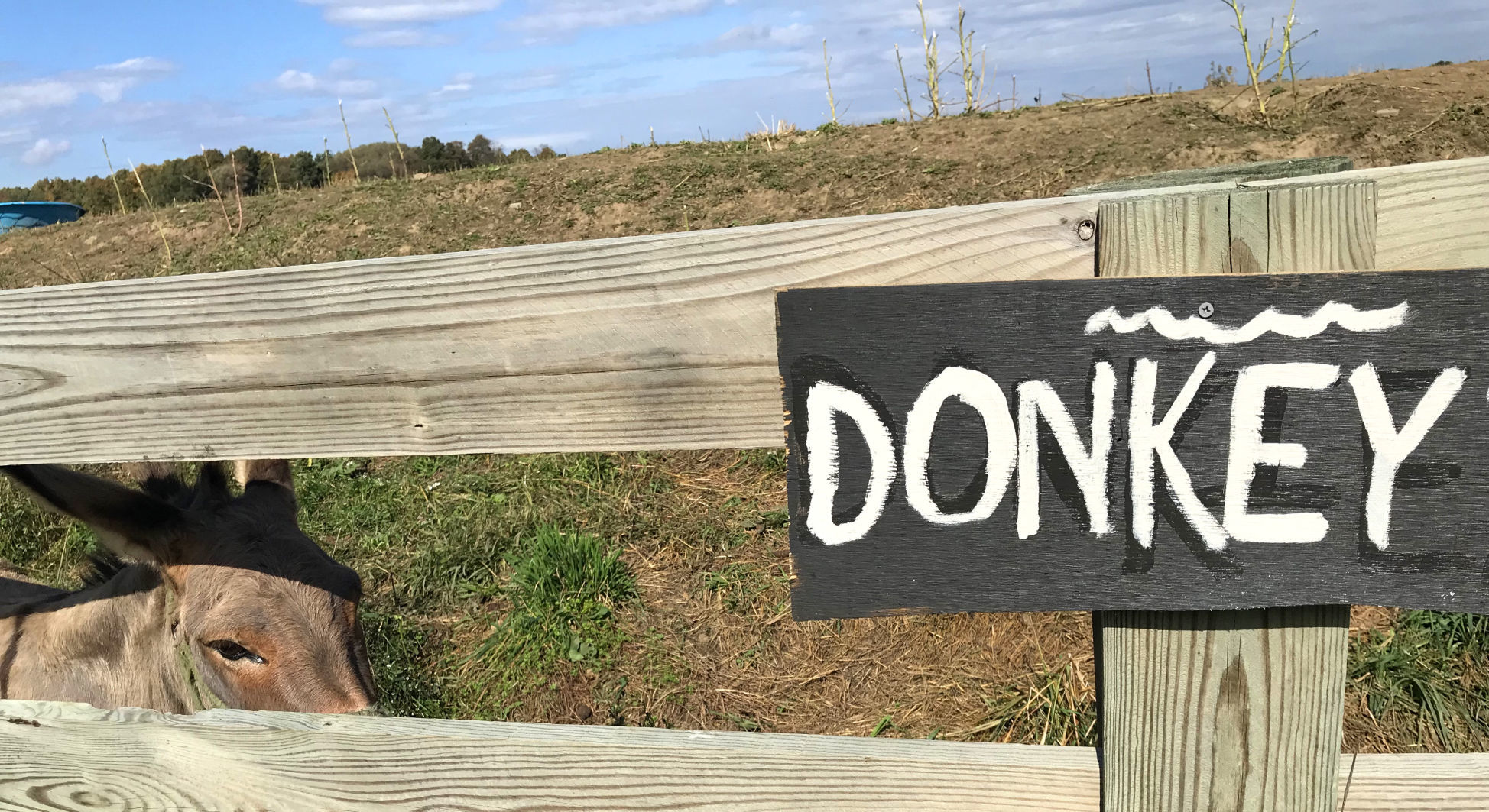 Penny's Country Farm 12